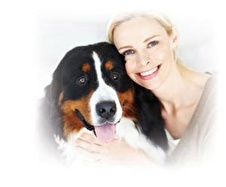 Bonacibo Adult Dog Form Yetişkin Köpek Maması 4 Kg