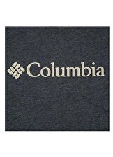Columbia CSC M Basıc Bıg Logo Brushed SS Tee Erkek Tişört Gri CS0287-012