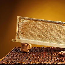 DoğuMark - Petek Bal (3.25 Kg)