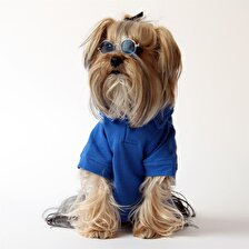 Maxstylespet  Lacoste Pet Tshirt (Sun&Fun) Mavi-  Köpek ve Kedi Kıyafeti 