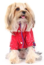 Maxstylespet  Astarsız Kapüşonlu Pet Yağmurluk - Kırmızı - Köpek Kedi Kıyafeti