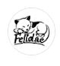 Felidae Pets