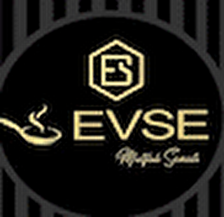 EVSE HOME