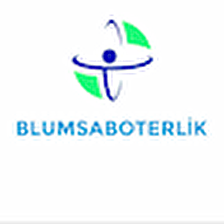 Blum Sabo Terlik