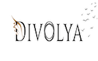 DİVOLYA