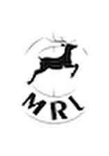 MRl store