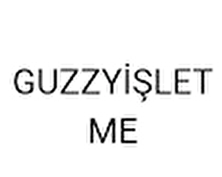 GUZZYİŞLETME