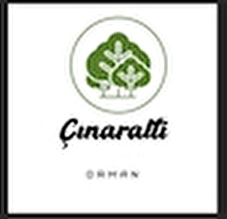 Çınaraltı Orman