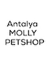 Antalya MOLLY PETSHOP