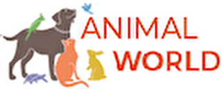 Animal World Pet Shop