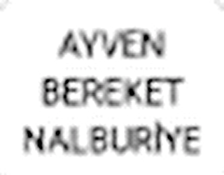 AYVEN BEREKET NALBUR