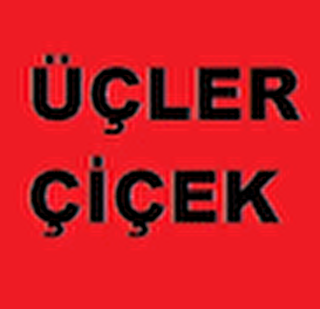 ÜÇLER ÇİÇEK