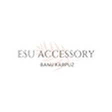 ESU ACCESSORY