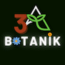 3A Botanik