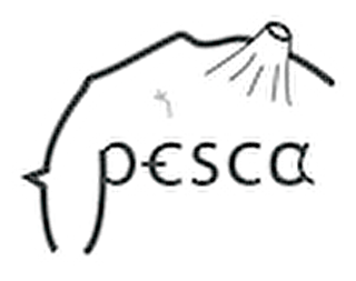 Pesca