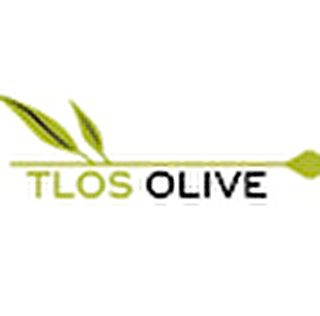 TLOS OLIVE