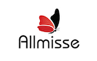 Allmisse