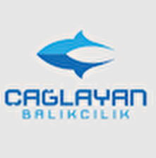 Çağlayan Balıkçılık