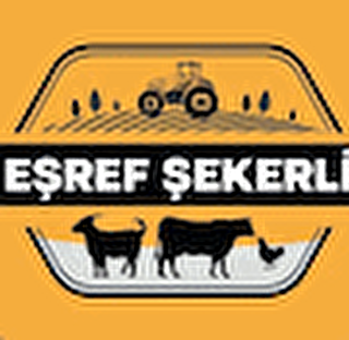 EŞREF ŞEKERLİ