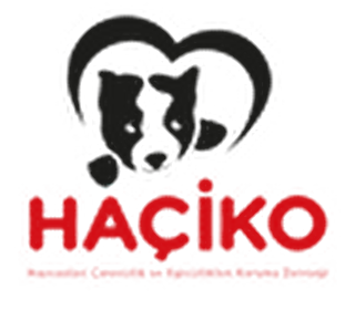 Haçiko