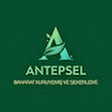 antepsel