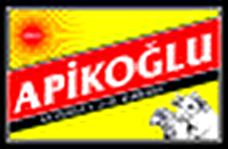 APİKOĞLU