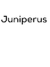 Juniperus