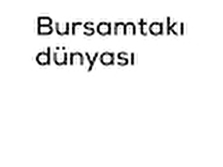 Bursamtakıdünyası