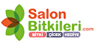 SALON BİTKİLERİ