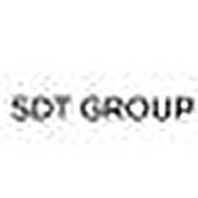 SDT GROUP