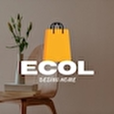 Ecol Desing