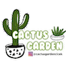 Cactus Garden