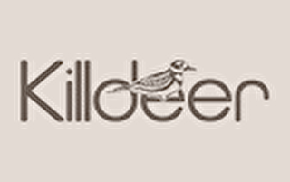 Killdeer