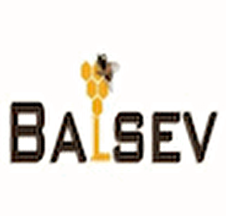 Balsev