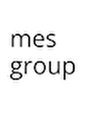 mes group