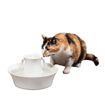 Petsafe drinkwell avalon outlet