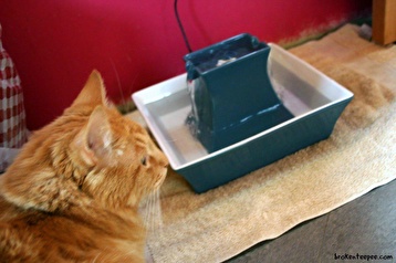 Petsafe outlet drinkwell keramik