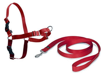PETSAFE Easy Walk Harness Pembe K pek G s Tasmas Large 66