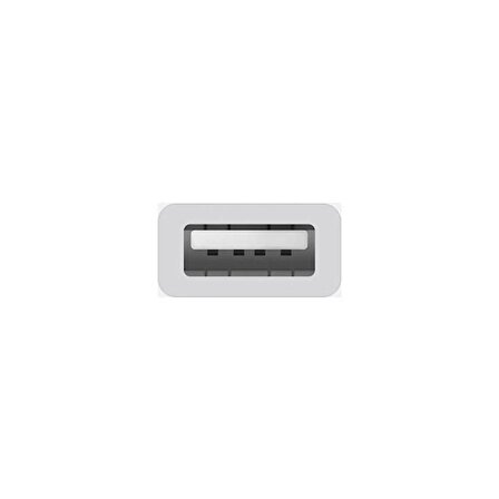 Apple USB-C USB Adaptörü