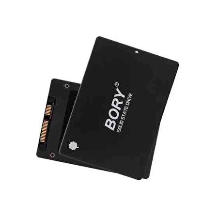 Bory R500- C256G Sata 3.0 256 GB SSD