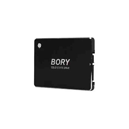 Bory R500- C256G Sata 3.0 256 GB SSD