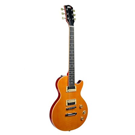 Dmx Guitars DALP100 A Slash AFD Les Paul Elektro Gitar (Taşıma Çantası Hediyeli)