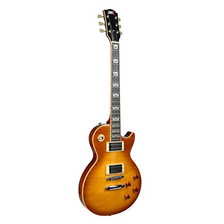 Dmx Guitars DALP200 Slash Les Paul Standard  Elektro Gitar (Taşıma Çantası Hediyeli)