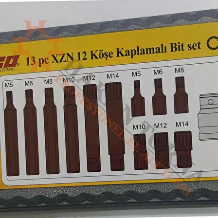 Rico Yıldız torx torck M diş lokmalı torx takımı seti 13 parça