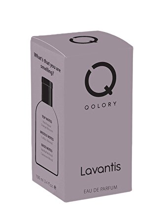 Lavantis Unisex Eau de Parfüm 100 ml Eau De Perfume