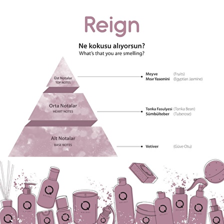 Reign Çubuklu Oda ve Ortam Kokusu 100 ml - Reed Diffuser