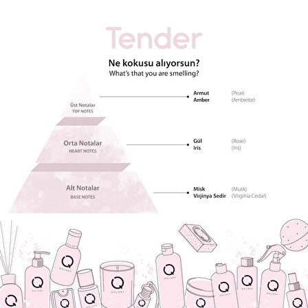 Tender Nemlendirici Vücut Spreyi 250 ml - Body Mist