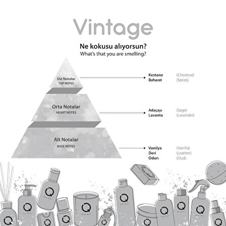 Vintage Oto Araba Kokusu 10 ml - Car Perfume