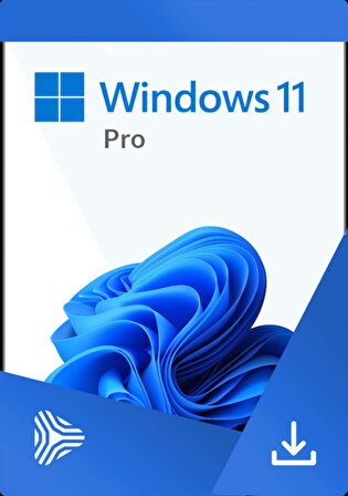 WINDOWS 11 PRO ELEKTRONIK LISANS