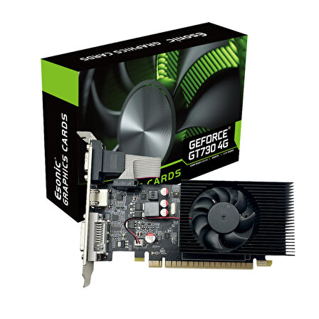 Esonic NVIDIA GeForce GT730 4 GB DDR3 128 Bit Ekran Kartı